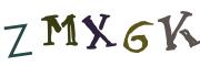 이미지 CAPTCHA